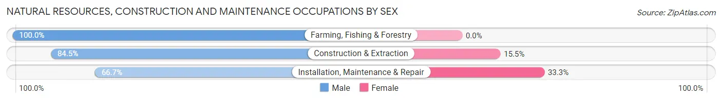 Natural Resources, Construction and Maintenance Occupations by Sex in Zip Code 84534