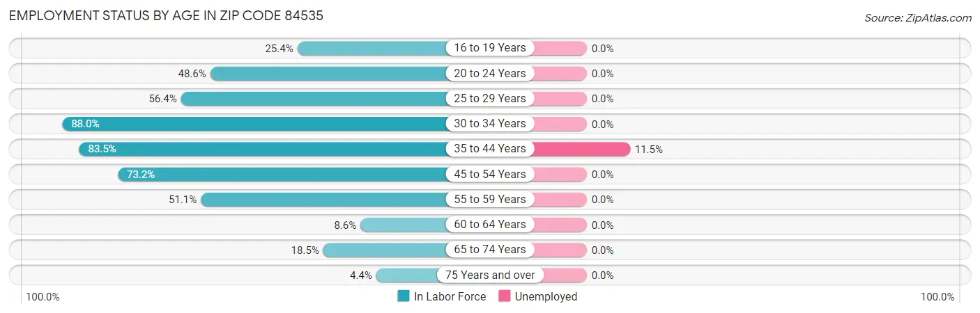 Employment Status by Age in Zip Code 84535