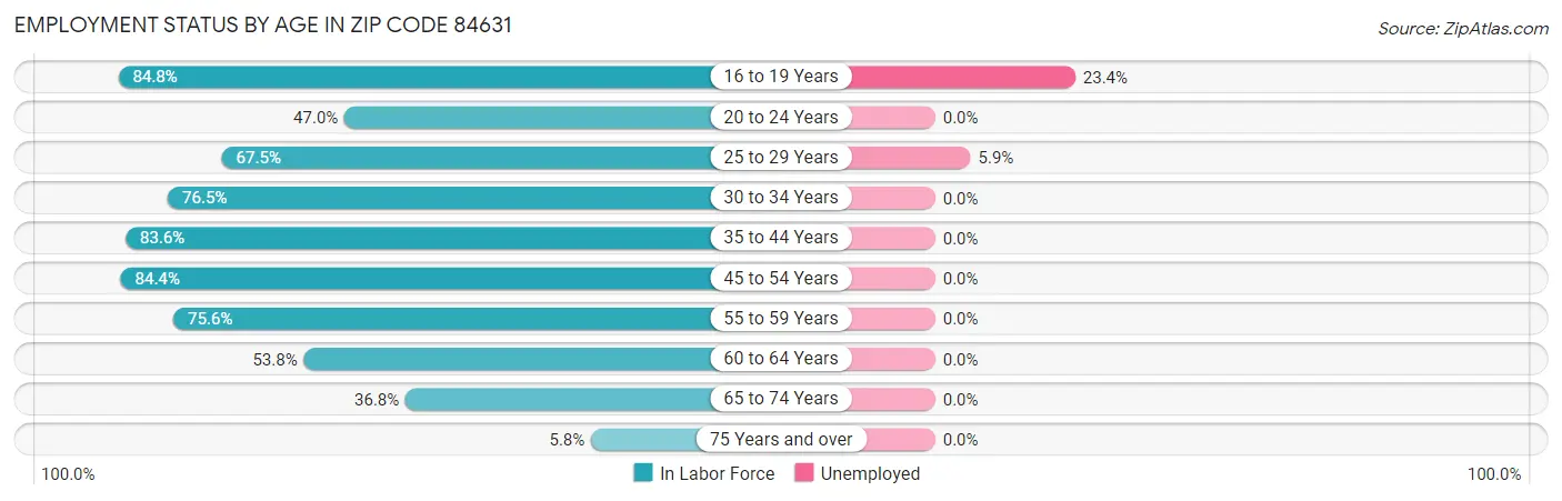 Employment Status by Age in Zip Code 84631