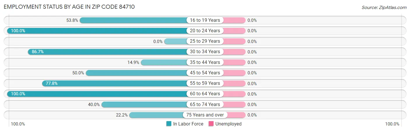 Employment Status by Age in Zip Code 84710