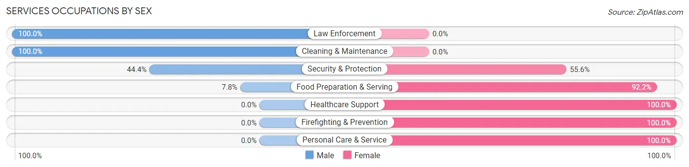 Services Occupations by Sex in Zip Code 84713