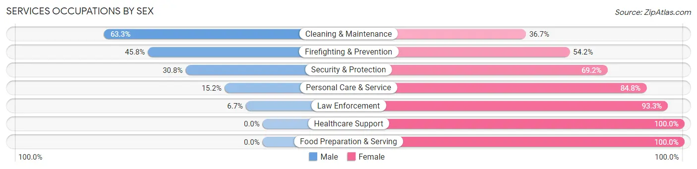 Services Occupations by Sex in Zip Code 84738