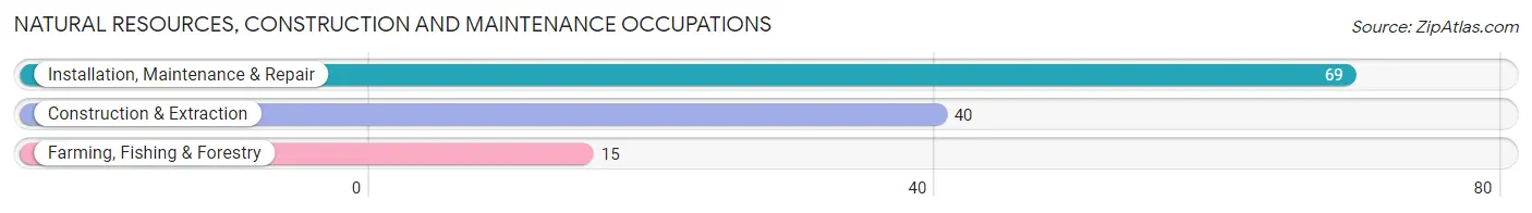 Natural Resources, Construction and Maintenance Occupations in Zip Code 84774