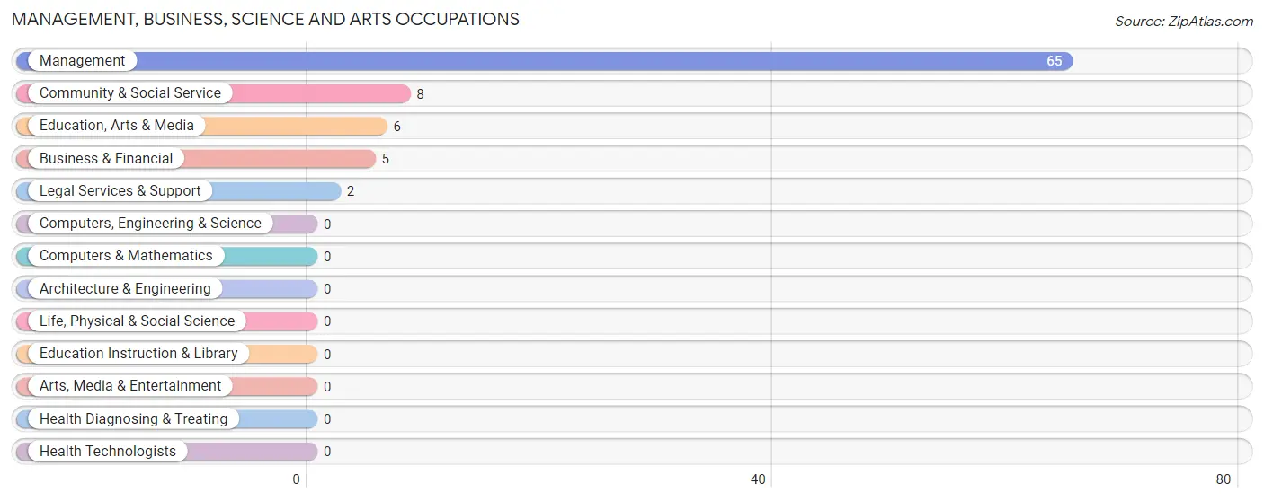 Management, Business, Science and Arts Occupations in Zip Code 84779