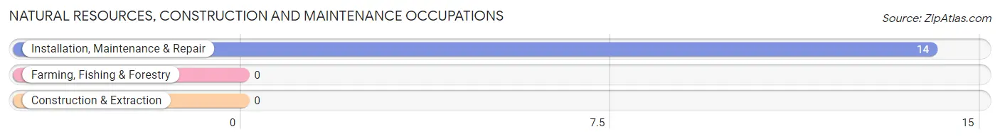 Natural Resources, Construction and Maintenance Occupations in Zip Code 84782