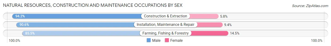 Natural Resources, Construction and Maintenance Occupations by Sex in Zip Code 85009