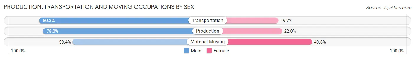 Production, Transportation and Moving Occupations by Sex in Zip Code 85020