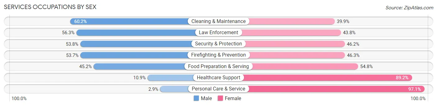 Services Occupations by Sex in Zip Code 85033
