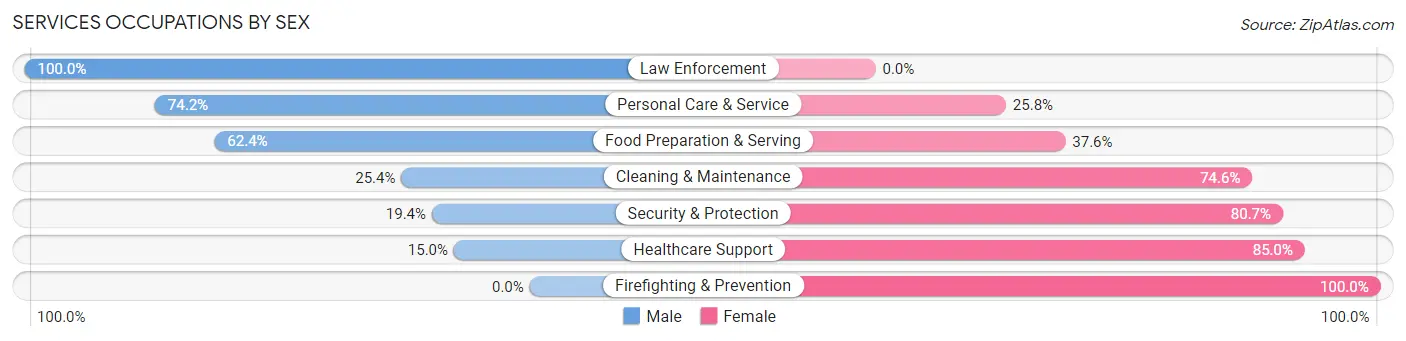 Services Occupations by Sex in Zip Code 85034