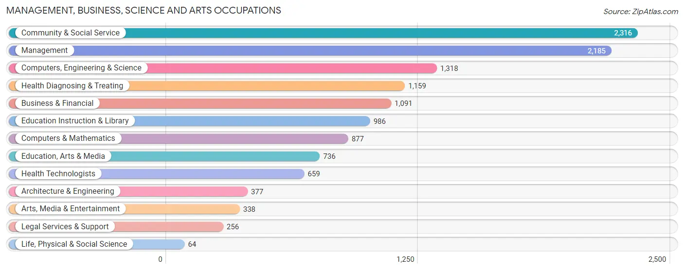 Management, Business, Science and Arts Occupations in Zip Code 85041