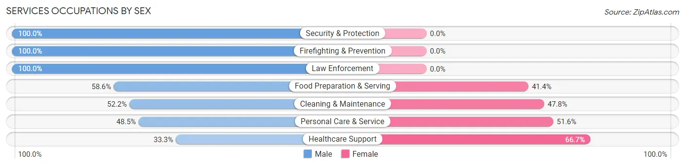 Services Occupations by Sex in Zip Code 85045