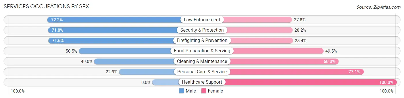 Services Occupations by Sex in Zip Code 85048