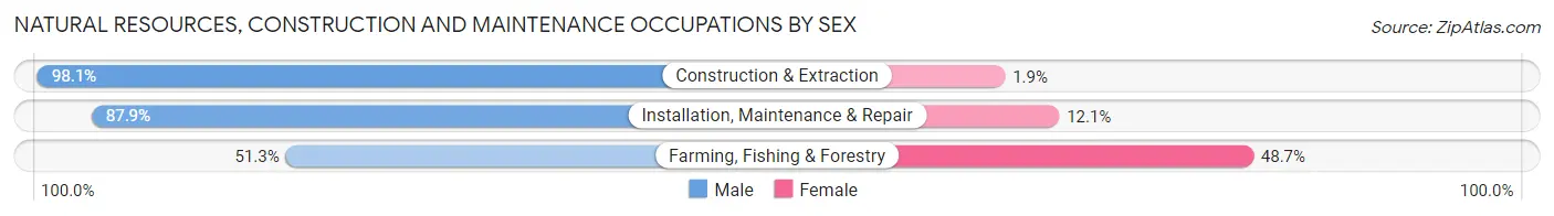 Natural Resources, Construction and Maintenance Occupations by Sex in Zip Code 85122