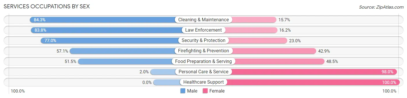 Services Occupations by Sex in Zip Code 85132