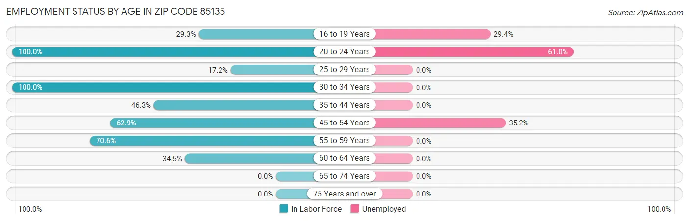 Employment Status by Age in Zip Code 85135