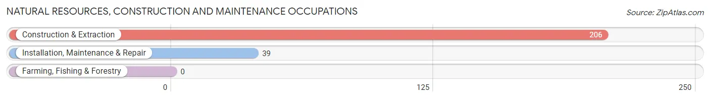 Natural Resources, Construction and Maintenance Occupations in Zip Code 85147