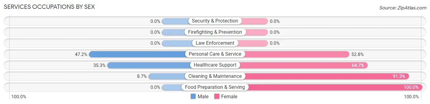 Services Occupations by Sex in Zip Code 85193