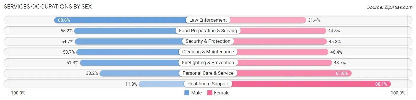 Services Occupations by Sex in Zip Code 85206
