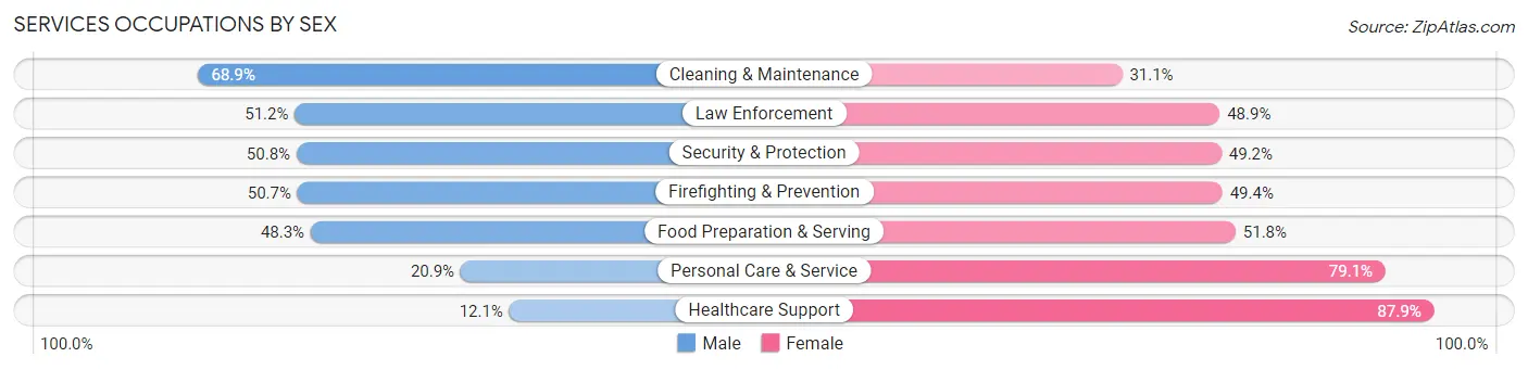 Services Occupations by Sex in Zip Code 85224