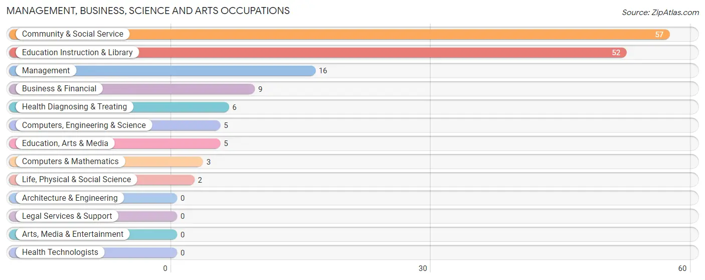 Management, Business, Science and Arts Occupations in Zip Code 85264