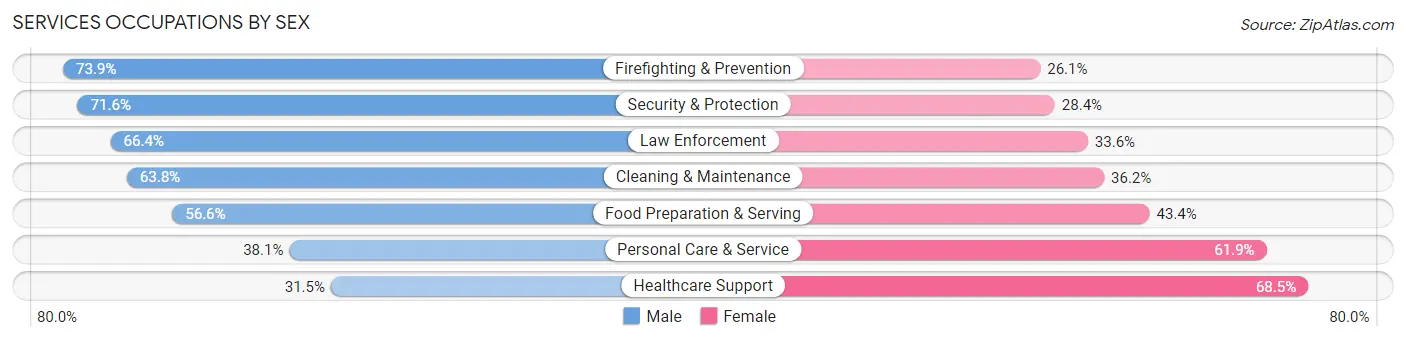 Services Occupations by Sex in Zip Code 85281