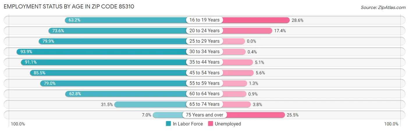 Employment Status by Age in Zip Code 85310