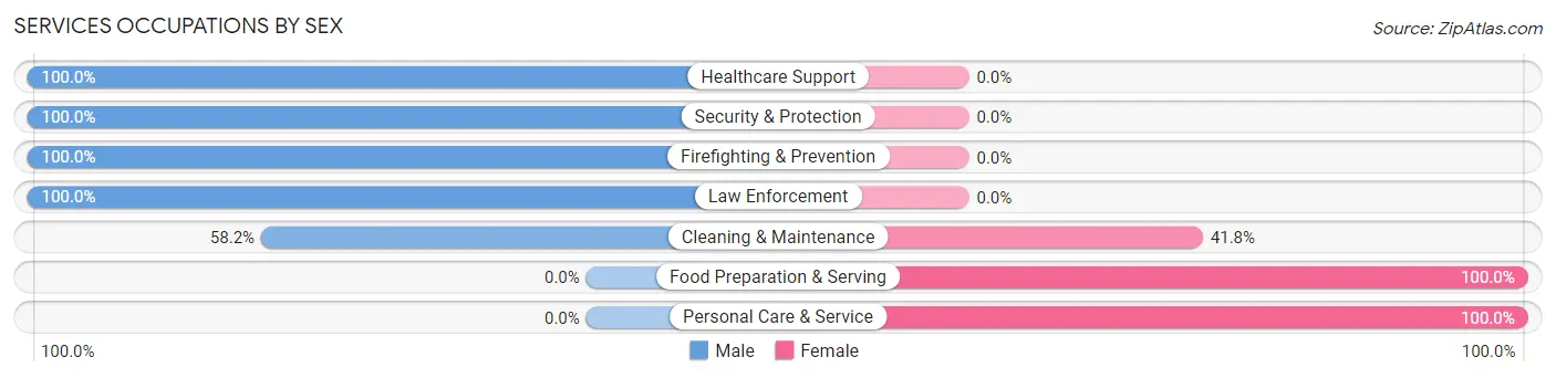 Services Occupations by Sex in Zip Code 85321