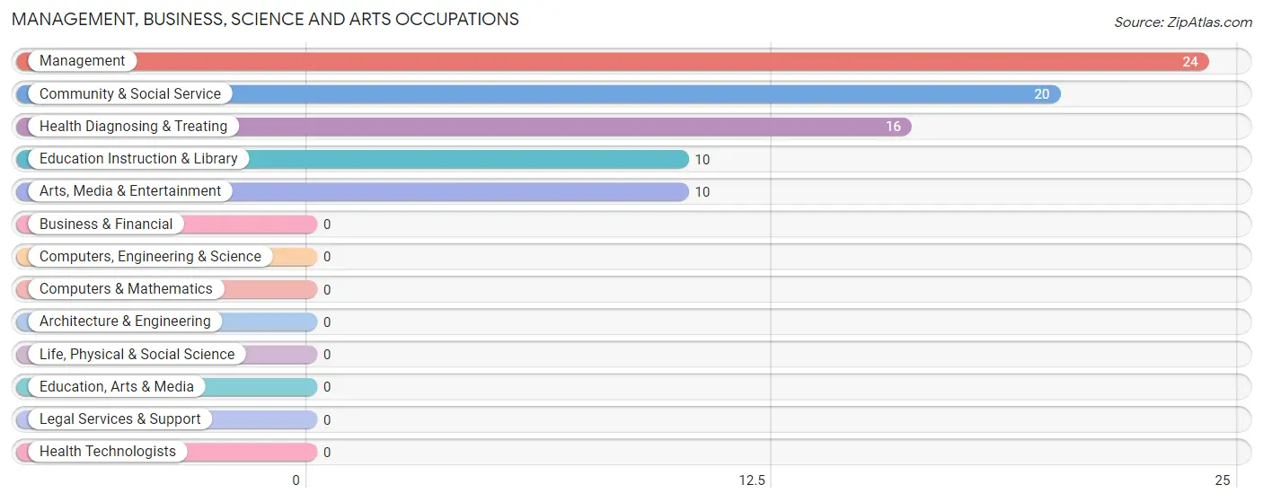 Management, Business, Science and Arts Occupations in Zip Code 85325