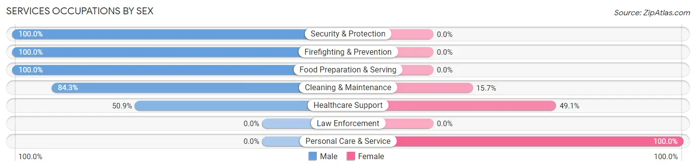 Services Occupations by Sex in Zip Code 85329