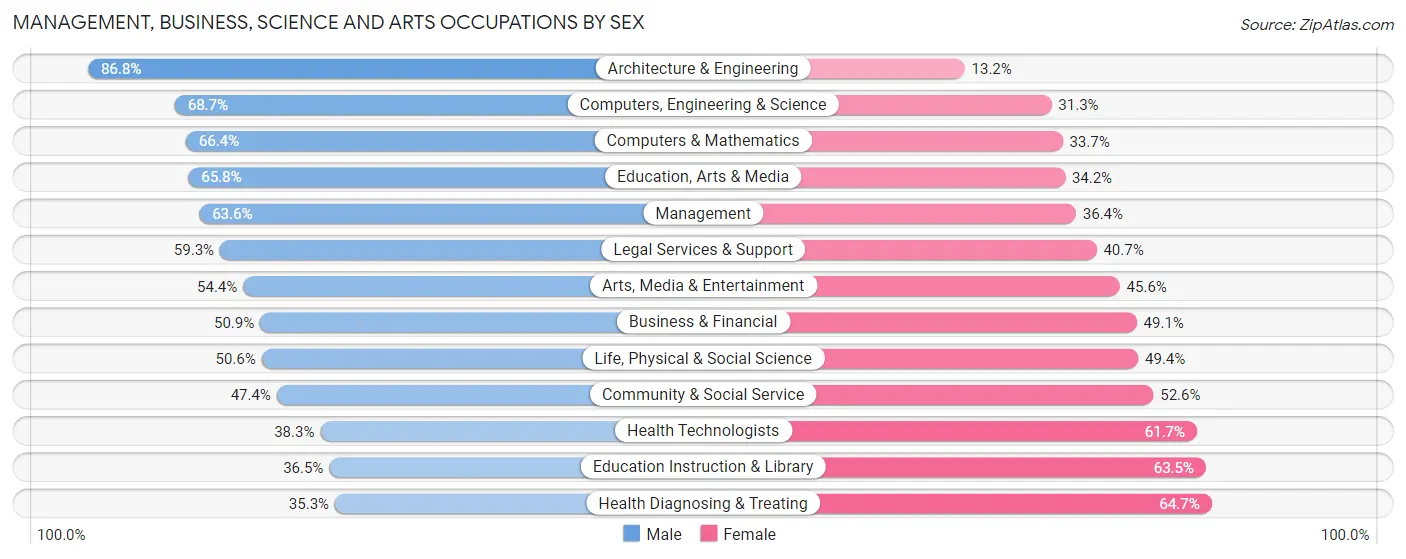 Management, Business, Science and Arts Occupations by Sex in Zip Code 85331