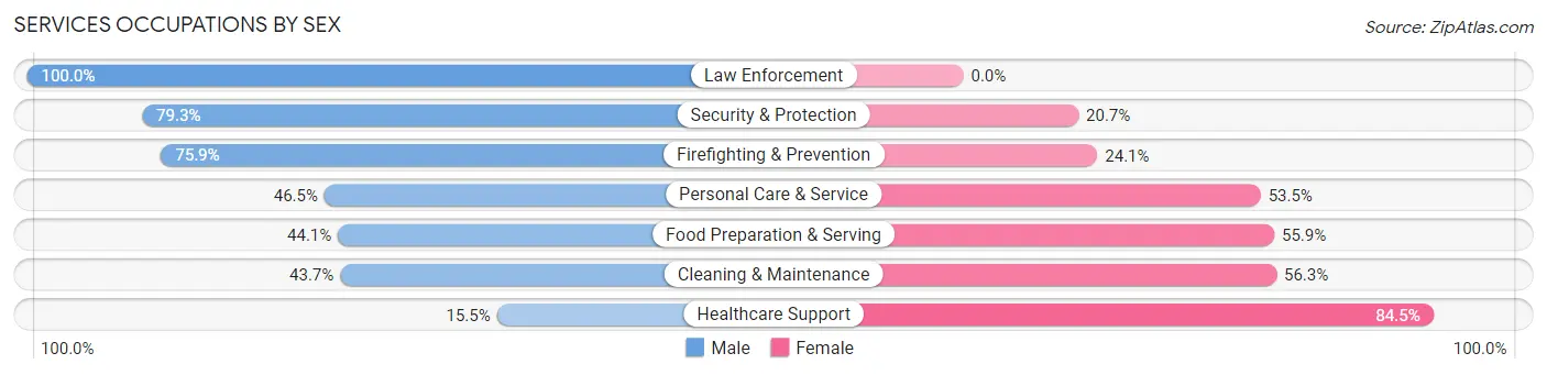 Services Occupations by Sex in Zip Code 85331
