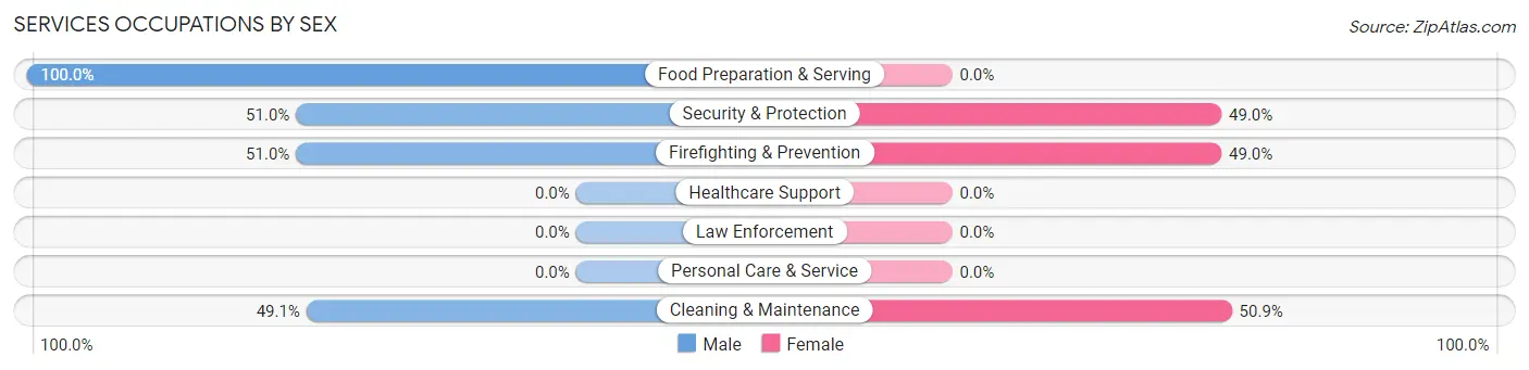 Services Occupations by Sex in Zip Code 85332