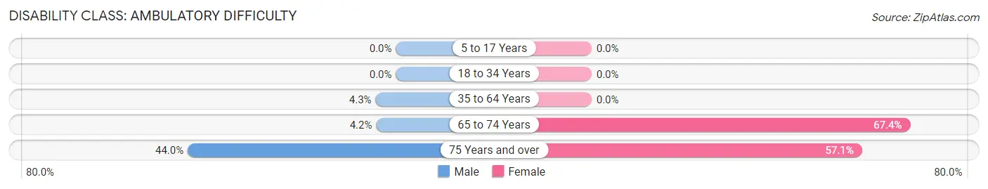 Disability in Zip Code 85333: <span>Ambulatory Difficulty</span>