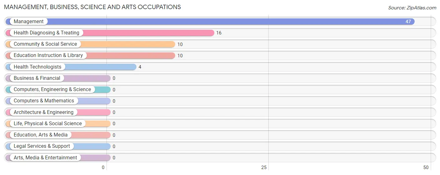 Management, Business, Science and Arts Occupations in Zip Code 85333