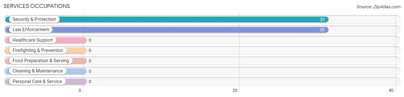 Services Occupations in Zip Code 85333