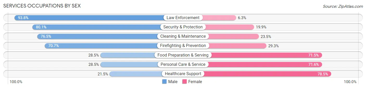Services Occupations by Sex in Zip Code 85335