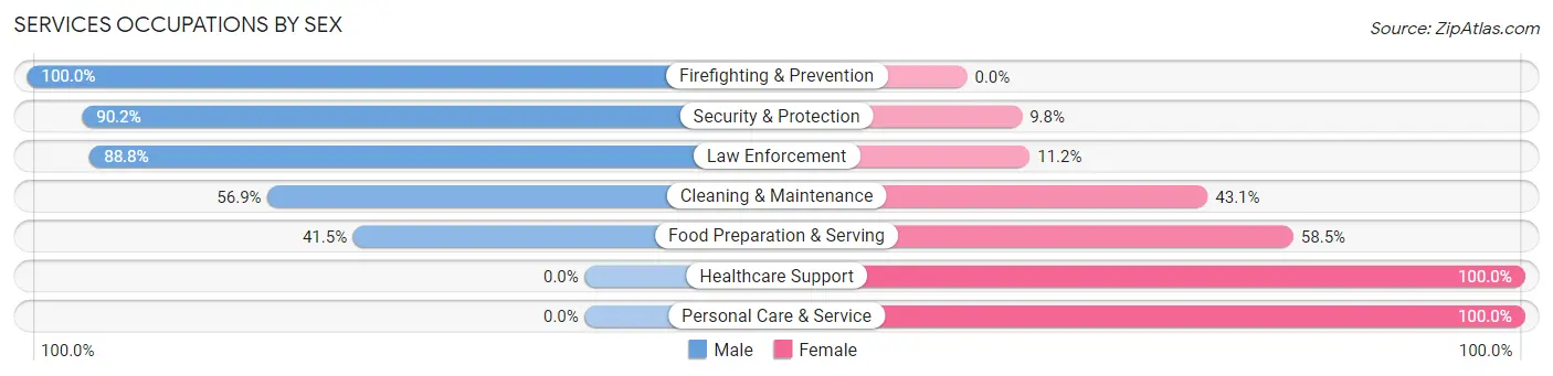 Services Occupations by Sex in Zip Code 85336