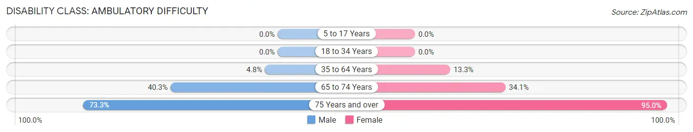 Disability in Zip Code 85337: <span>Ambulatory Difficulty</span>