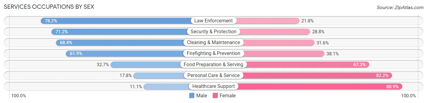 Services Occupations by Sex in Zip Code 85338