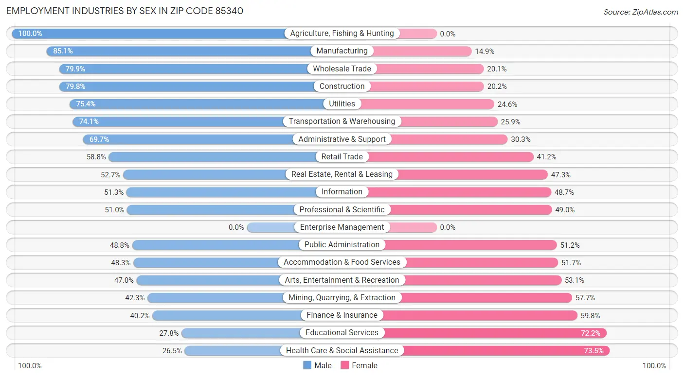 Employment Industries by Sex in Zip Code 85340