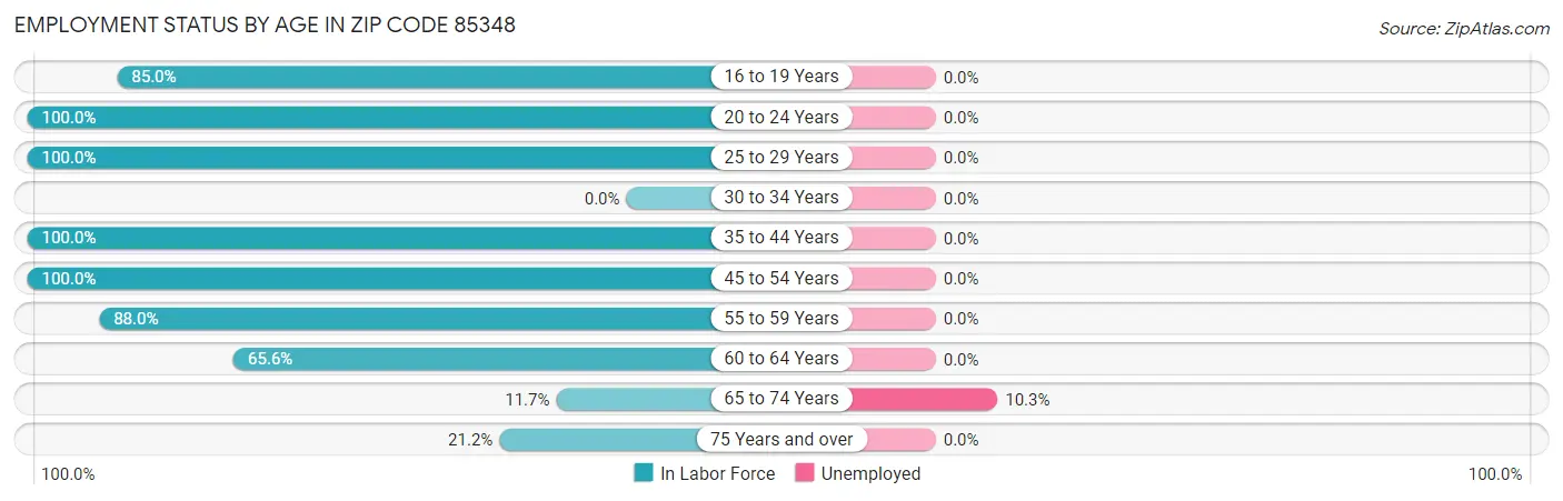 Employment Status by Age in Zip Code 85348