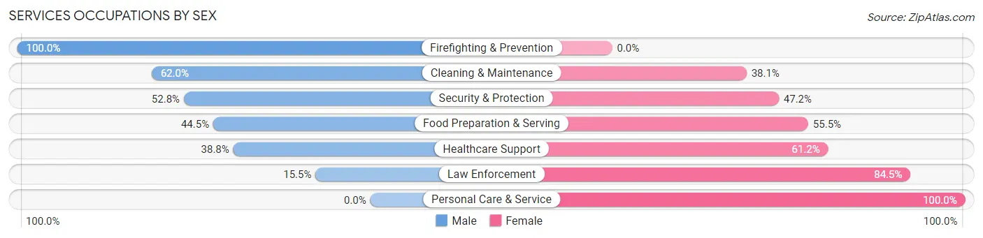 Services Occupations by Sex in Zip Code 85349