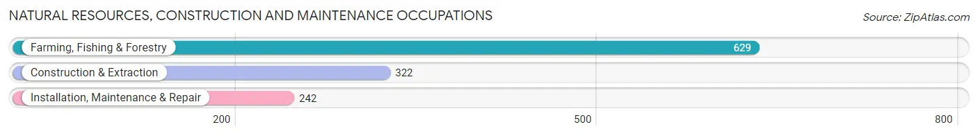 Natural Resources, Construction and Maintenance Occupations in Zip Code 85350