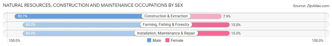 Natural Resources, Construction and Maintenance Occupations by Sex in Zip Code 85365