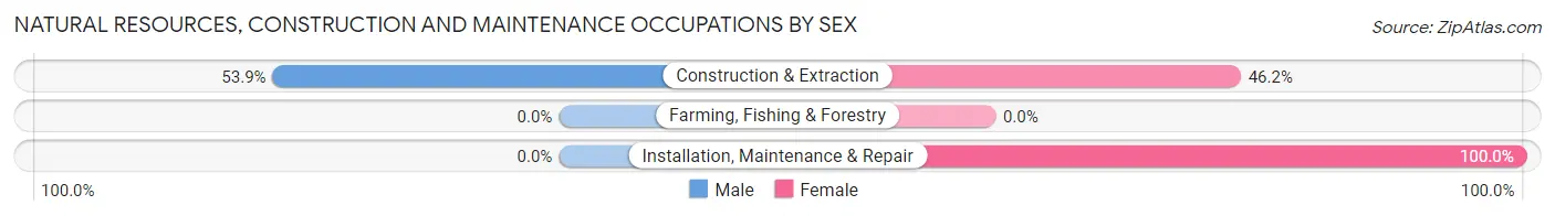 Natural Resources, Construction and Maintenance Occupations by Sex in Zip Code 85377