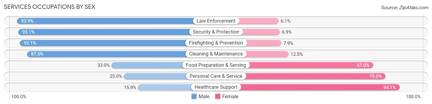 Services Occupations by Sex in Zip Code 85383