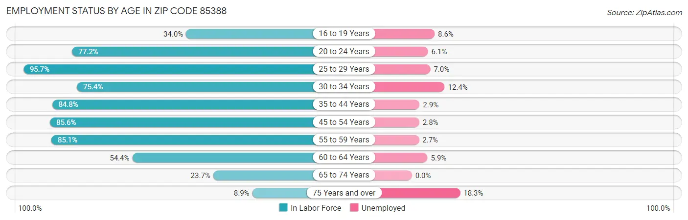 Employment Status by Age in Zip Code 85388