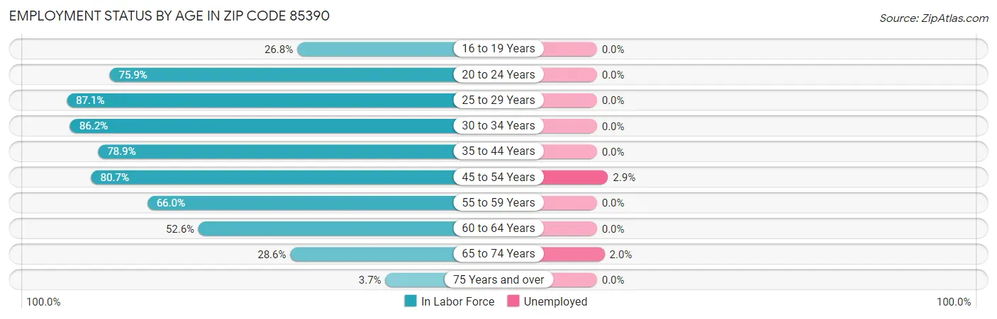 Employment Status by Age in Zip Code 85390