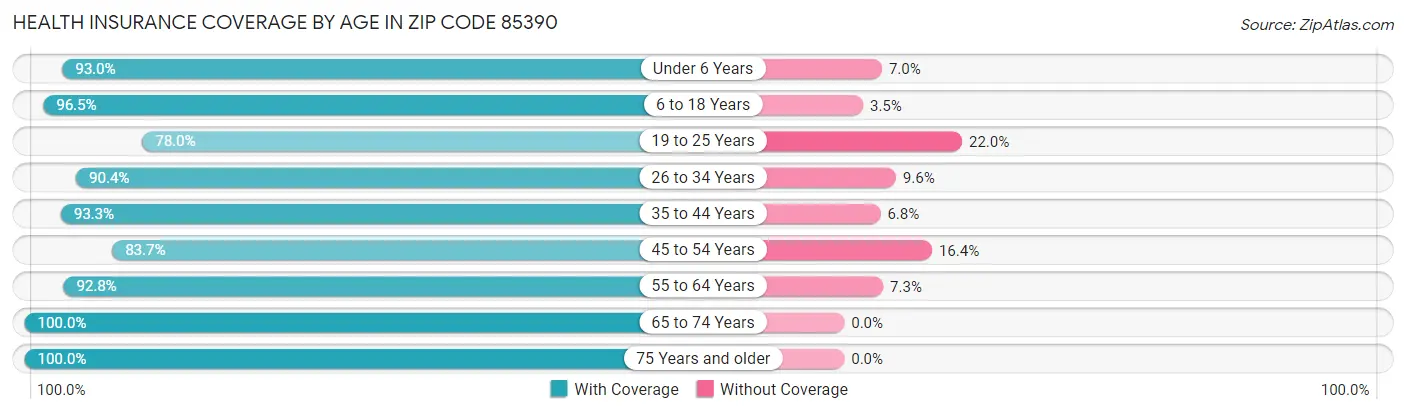Health Insurance Coverage by Age in Zip Code 85390