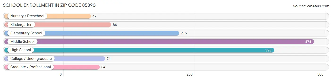 School Enrollment in Zip Code 85390